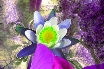 F 013E